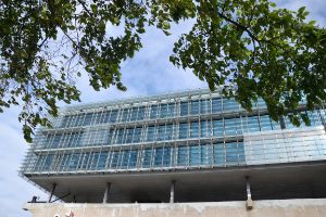 Joint Venture in den Niederlanden