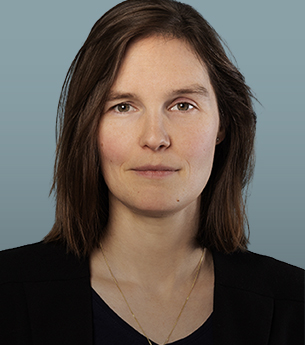 Niederländische Anwältin Wirtschaftsrecht